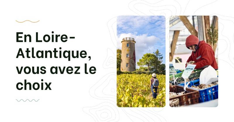 L'Unité d'Habitation de Marseille, chef-d'œuvre du Brutalisme par Le Corbusier